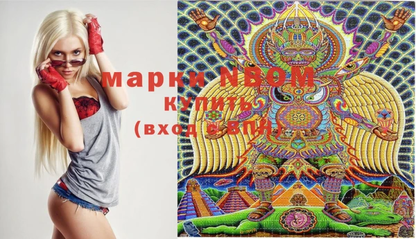 индика Бугульма