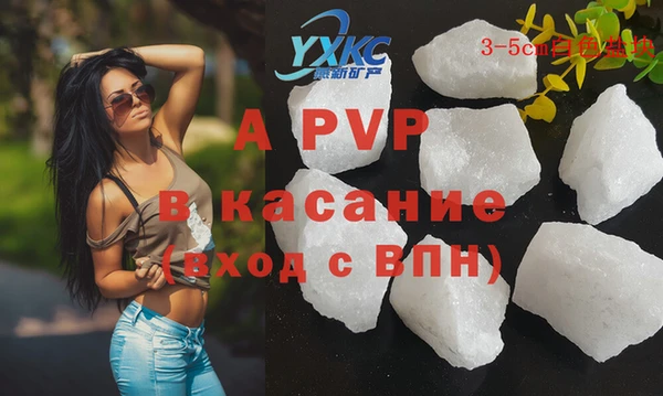 сатива Билибино